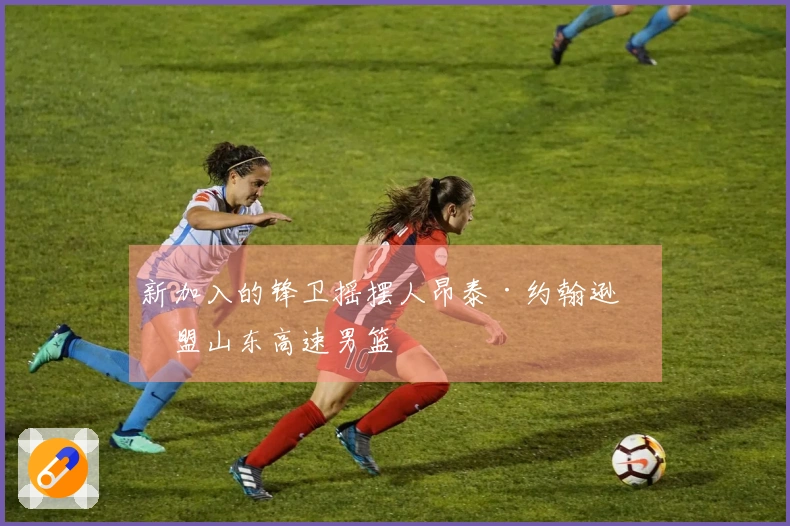 新加入的锋卫摇摆人昂泰·约翰逊加盟山东高速男篮