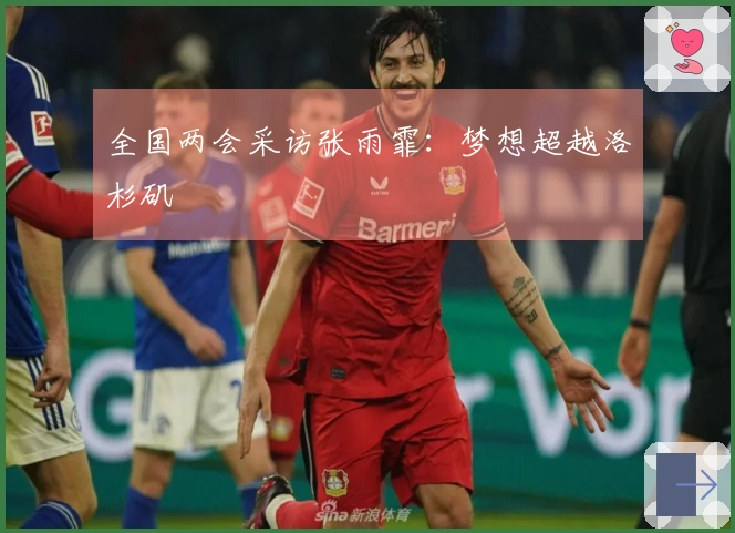 全国两会采访张雨霏：梦想超越洛杉矶