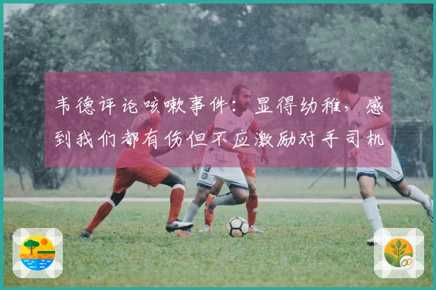 韦德评论咳嗽事件：显得幼稚，感到我们都有伤但不应激励对手司机